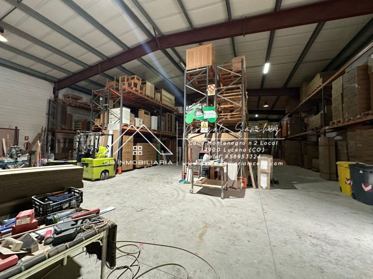 WhatsApp20Image202025-10-2120at2013.07.192028129