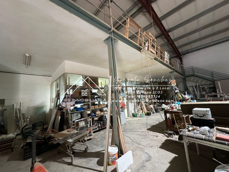 WhatsApp20Image202025-10-2120at2013.07.192028229