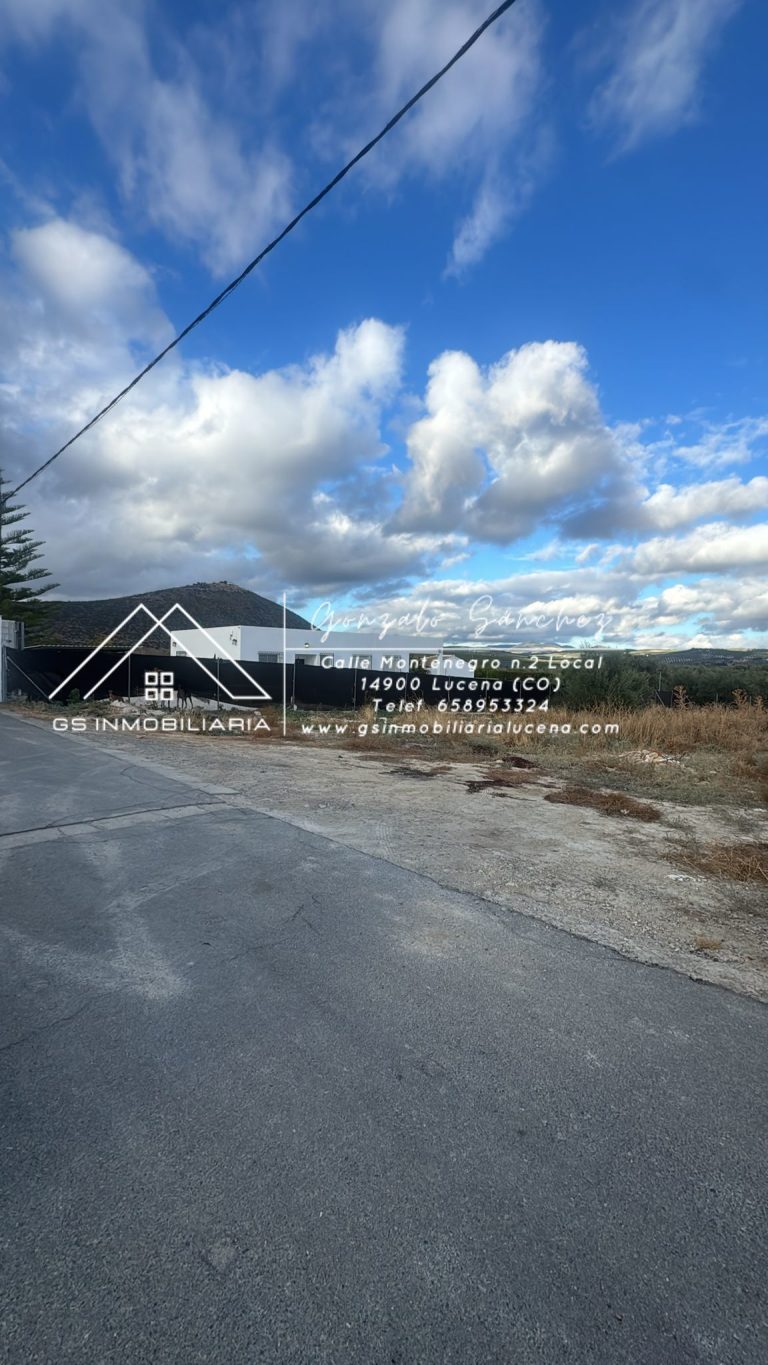 WhatsApp20Image202025-10-2120at2017.59.33