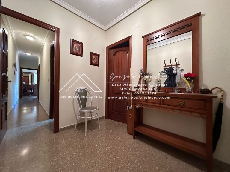 WhatsApp20Image202025-10-2320at2017.35.57