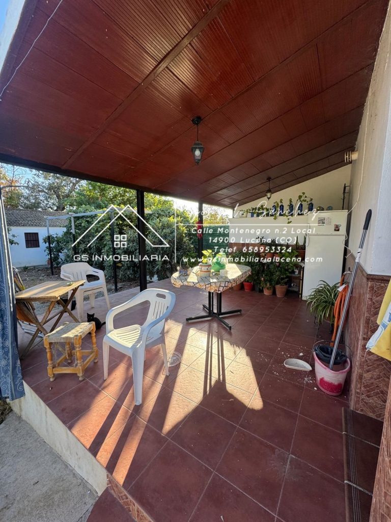 WhatsApp20Image202025-10-2320at2018.10.142028529