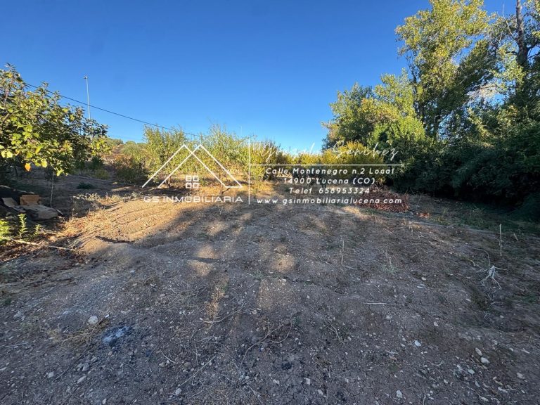 WhatsApp20Image202025-10-2320at2018.10.142028629