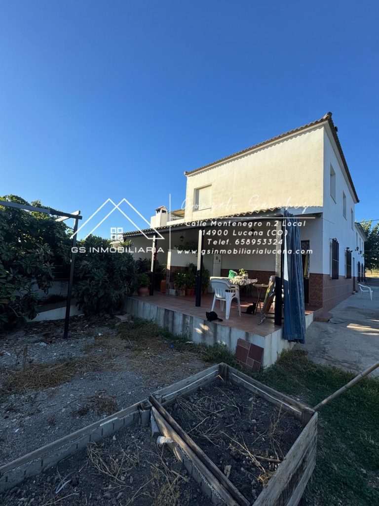 WhatsApp20Image202025-10-2320at2018.10.142028729