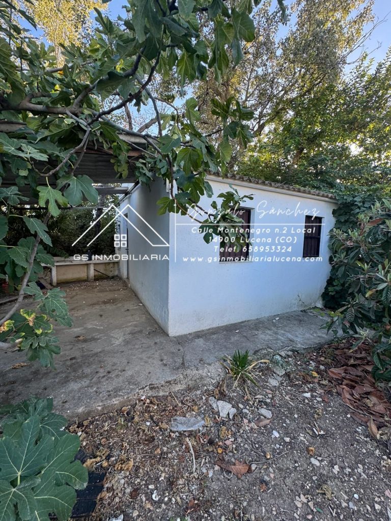 WhatsApp20Image202025-10-2320at2018.10.15