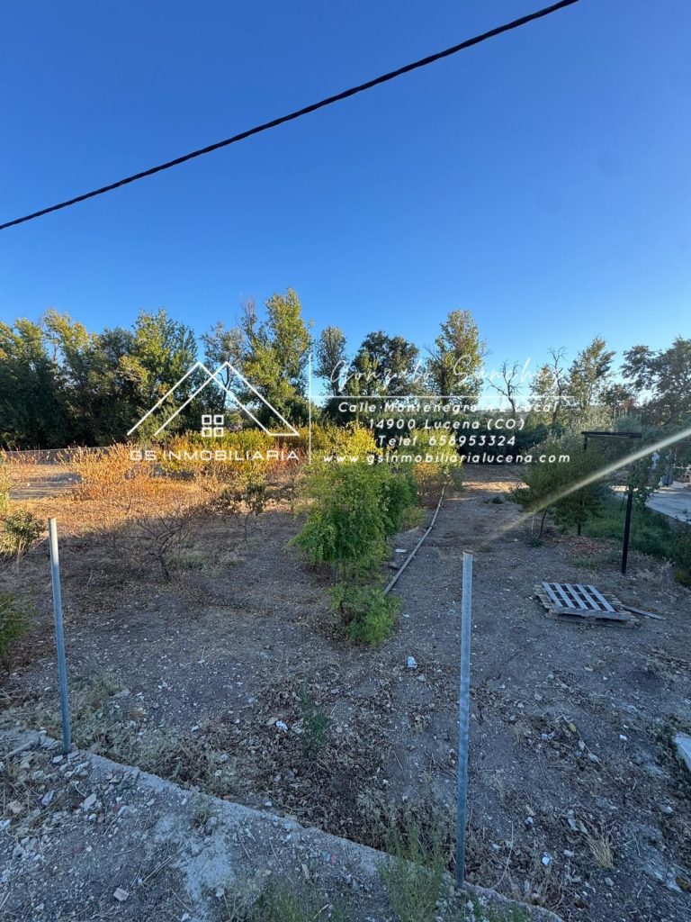 WhatsApp20Image202025-10-2320at2018.10.152028329