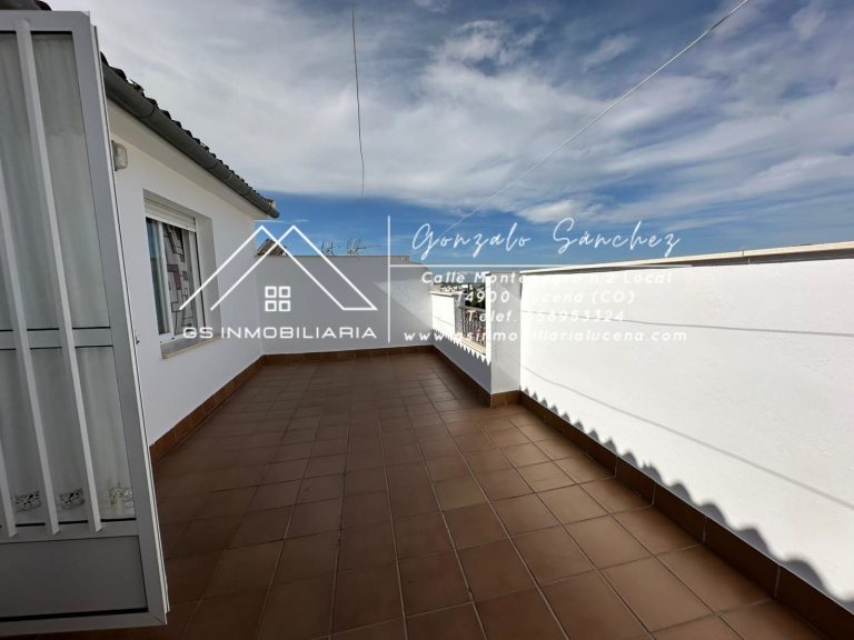 WhatsApp20Image202025-10-2820at2012.56.25