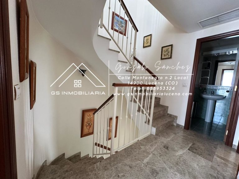 WhatsApp20Image202025-10-2820at2012.56.27