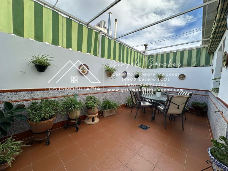 WhatsApp20Image202025-10-2820at2012.56.312028129