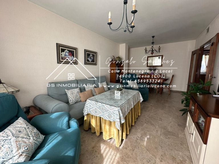 WhatsApp20Image202025-10-2820at2012.56.332028229