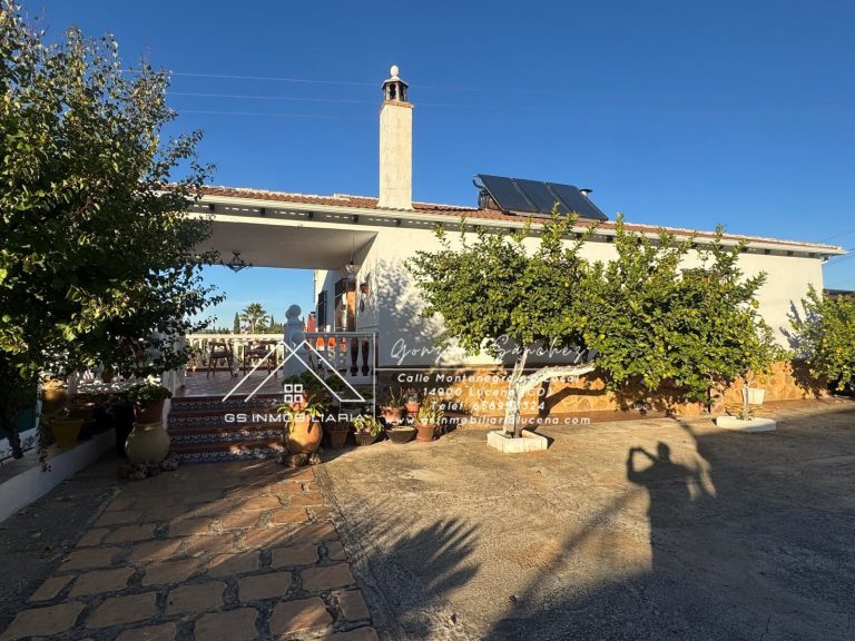 WhatsApp20Image202025-11-1020at2017.30.042028329