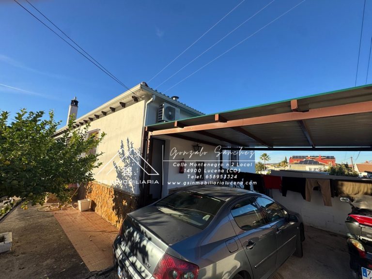 WhatsApp20Image202025-11-1020at2017.30.062028429