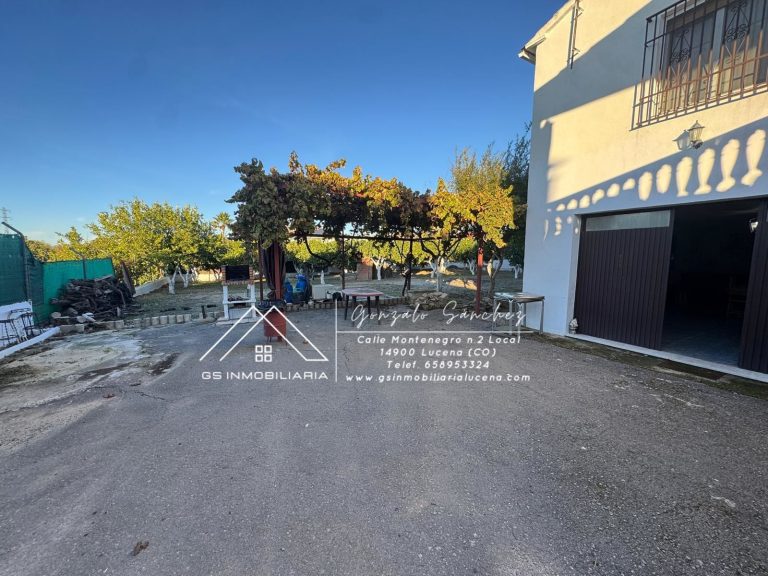 WhatsApp20Image202025-11-1020at2017.30.072028529