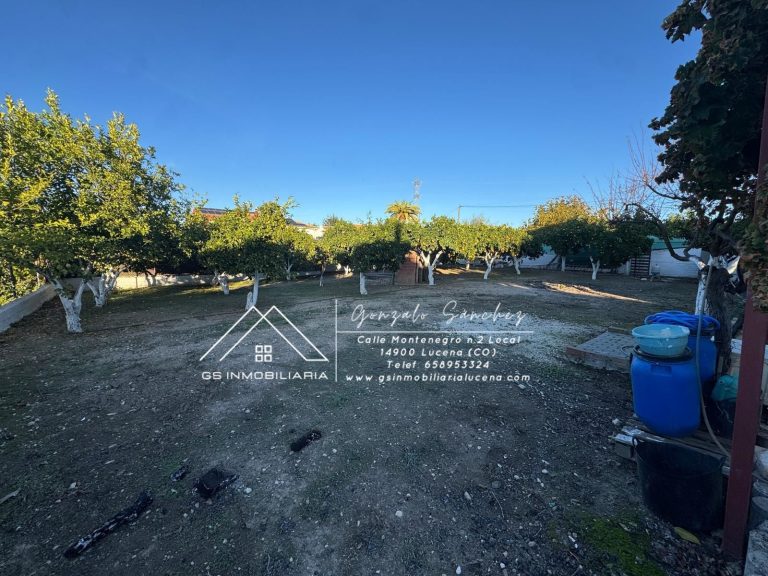 WhatsApp20Image202025-11-1020at2017.30.08