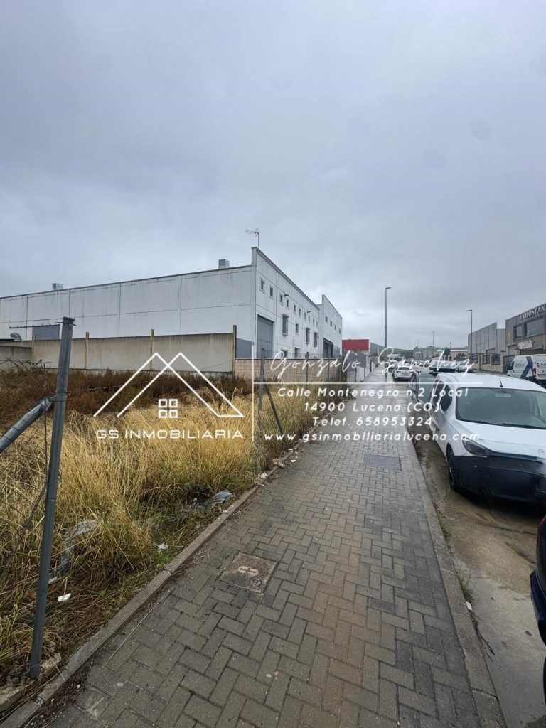 WhatsApp20Image202025-11-1720at2011.44.462028129