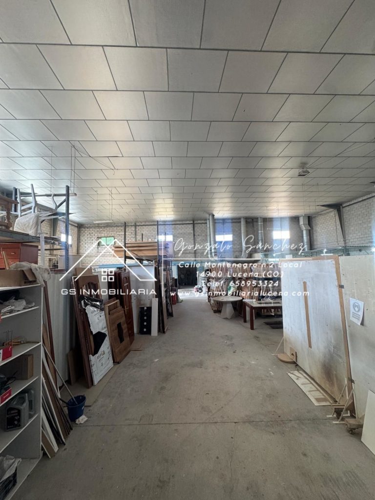 WhatsApp20Image202025-11-2020at2013.13.45