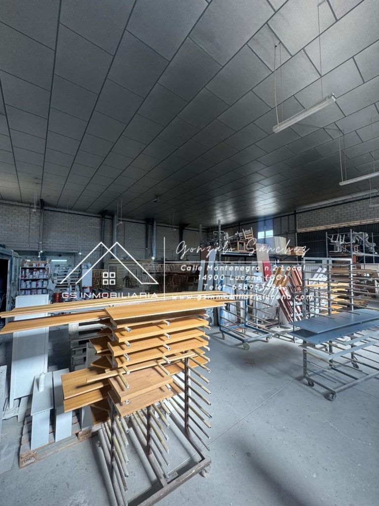 WhatsApp20Image202025-11-2020at2013.13.452028229