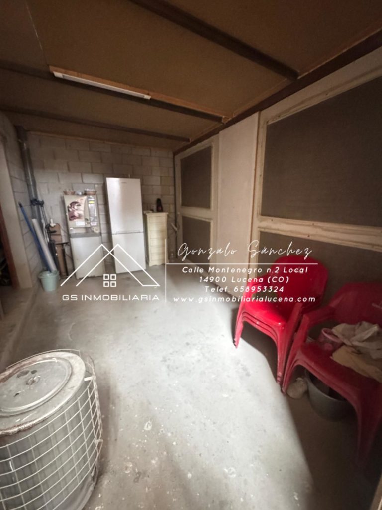 WhatsApp20Image202025-11-2020at2013.13.46