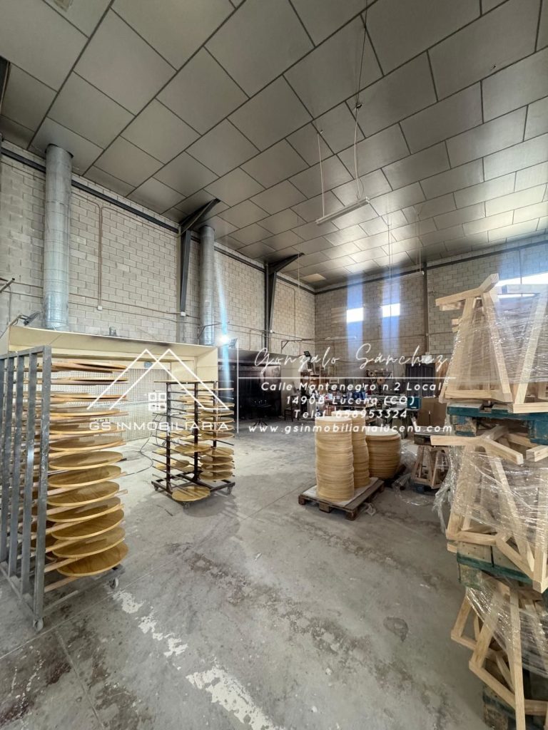 WhatsApp20Image202025-11-2020at2013.13.462028329