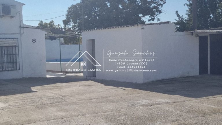 WhatsApp20Image202025-11-2020at2017.51.04