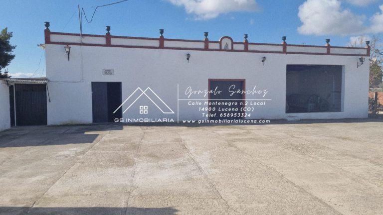 WhatsApp20Image202025-11-2020at2017.51.042028129