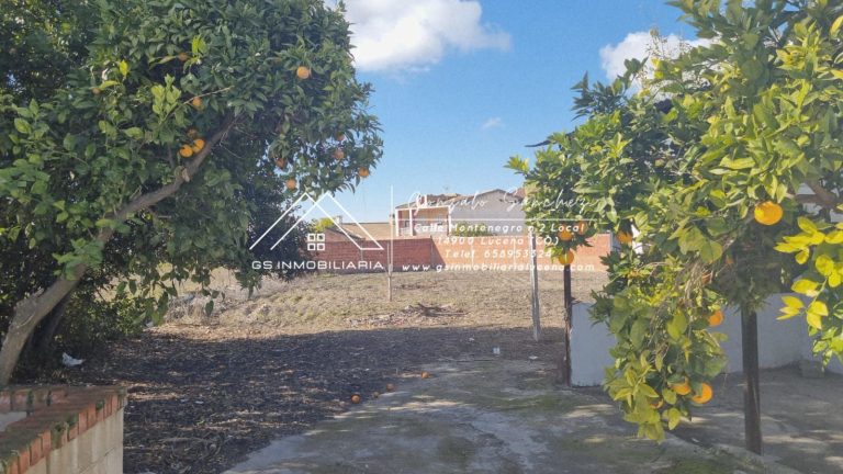 WhatsApp20Image202025-11-2020at2017.51.052028129