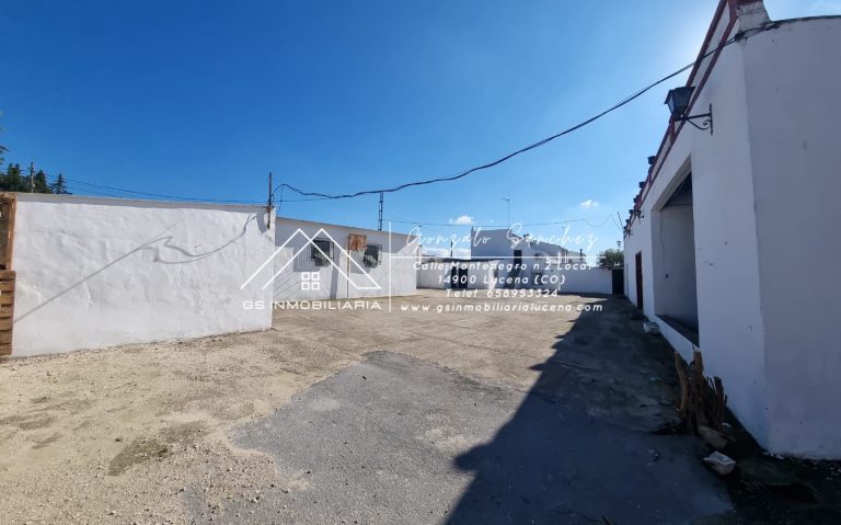 WhatsApp20Image202025-11-2020at2017.51.052028229