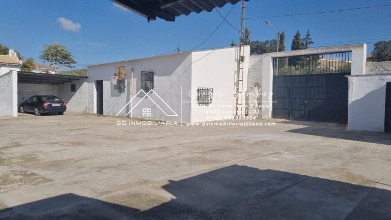 WhatsApp20Image202025-11-2020at2017.51.06