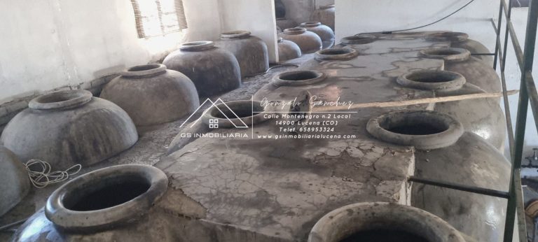 WhatsApp20Image202025-11-2020at2017.51.062028129