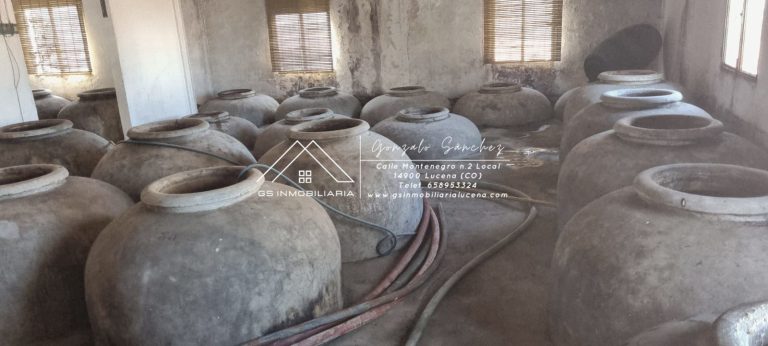 WhatsApp20Image202025-11-2020at2017.51.062028229