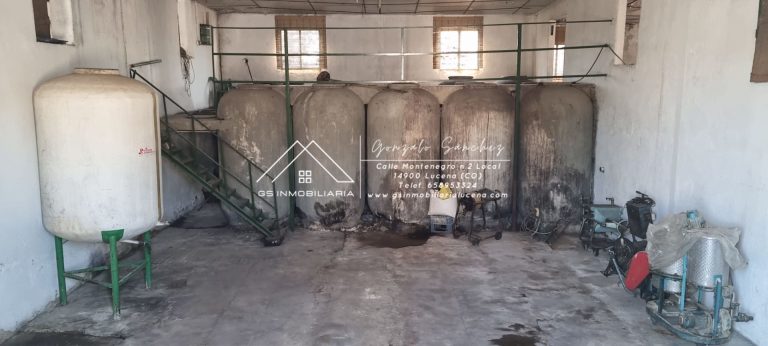 WhatsApp20Image202025-11-2020at2017.51.072028129