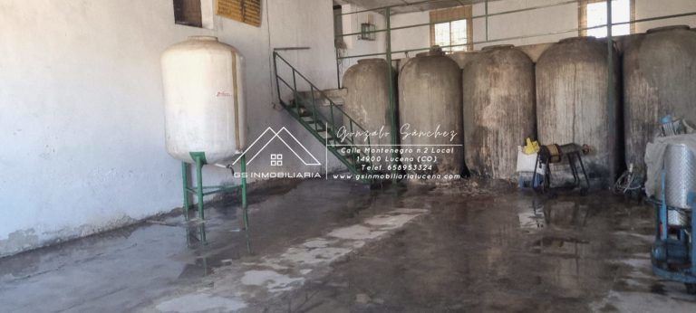 WhatsApp20Image202025-11-2020at2017.51.072028229