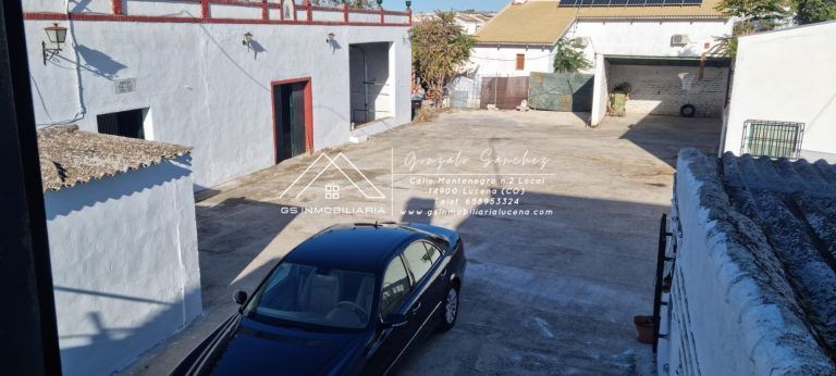 WhatsApp20Image202025-11-2020at2017.51.072028329