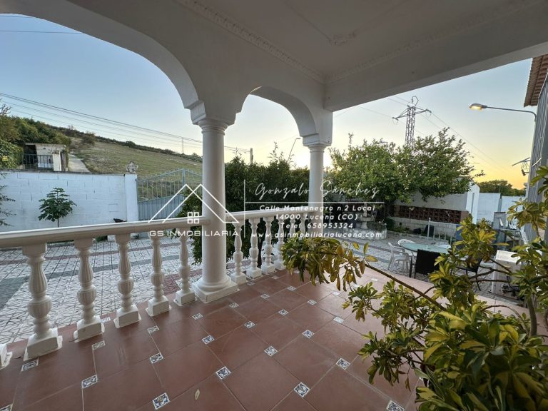 WhatsApp20Image202025-11-2020at2018.18.56