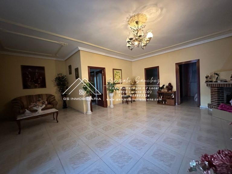 WhatsApp20Image202025-11-2020at2018.18.572028229