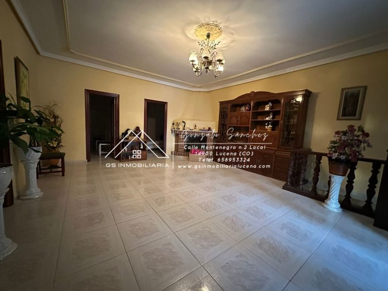 WhatsApp20Image202025-11-2020at2018.18.58