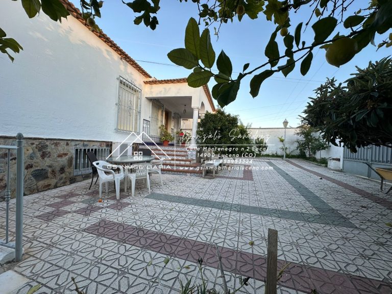 WhatsApp20Image202025-11-2020at2018.18.582028229