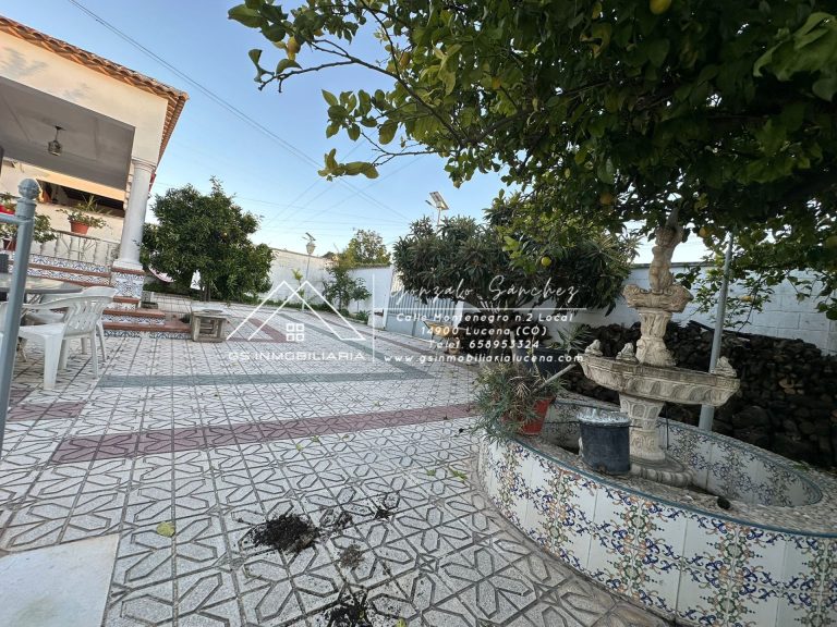 WhatsApp20Image202025-11-2020at2018.18.59