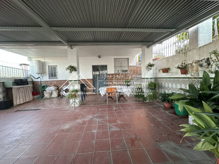 WhatsApp20Image202025-11-2020at2018.19.002028229