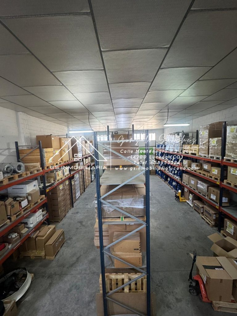 WhatsApp20Image202025-11-2620at2009.42.452028229