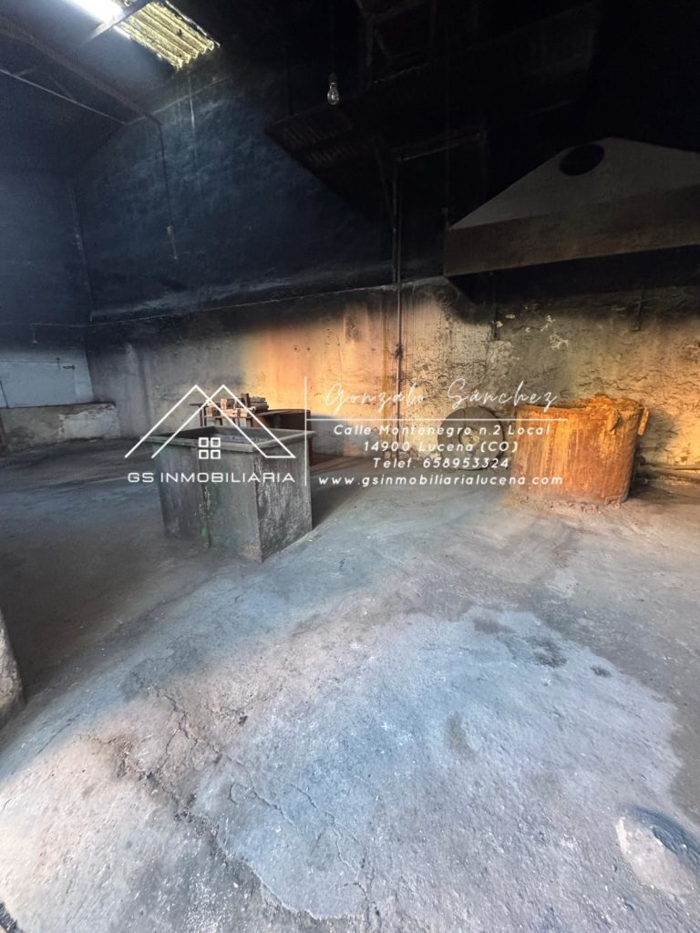 WhatsApp20Image202025-12-0120at2011.57.282028129