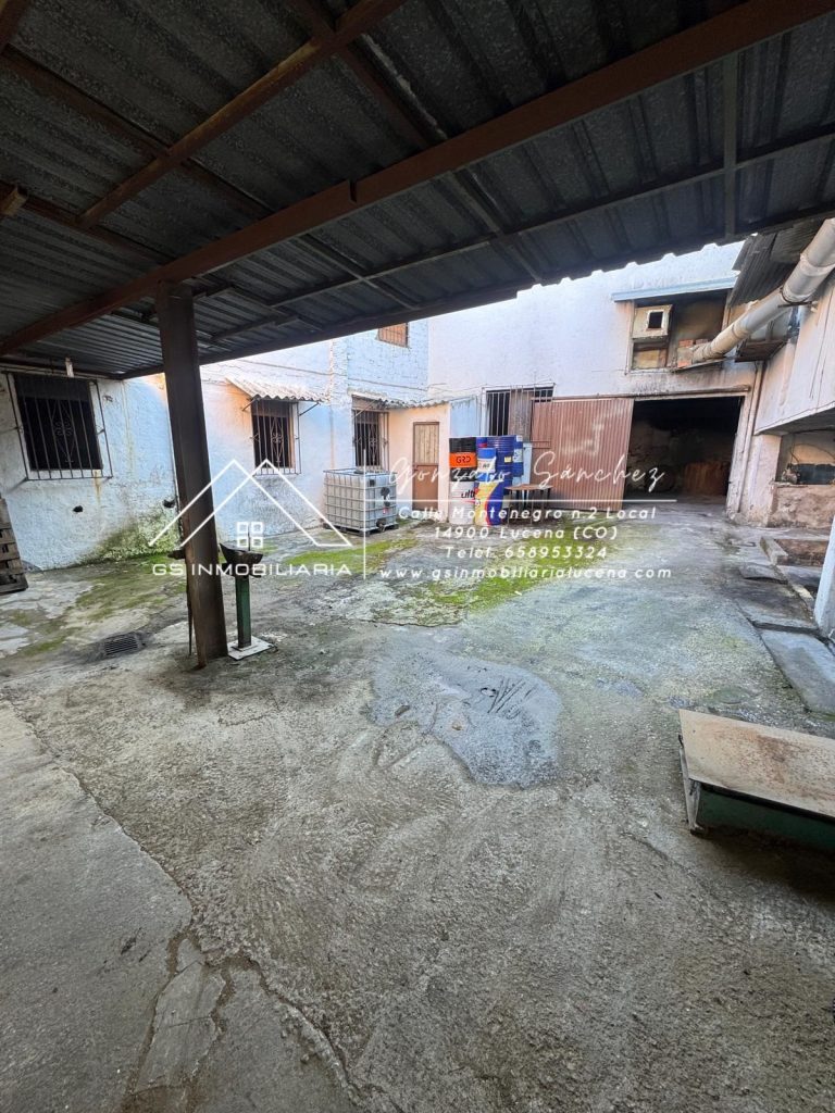 WhatsApp20Image202025-12-0120at2011.57.282028229