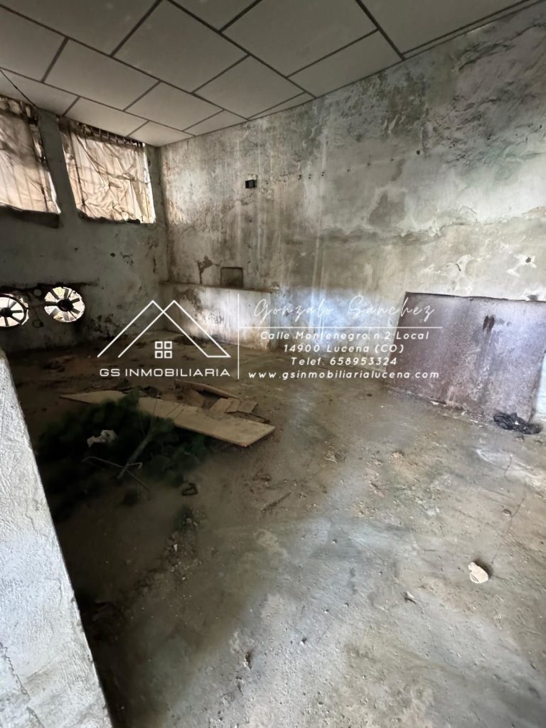 WhatsApp20Image202025-12-0120at2012.11.25