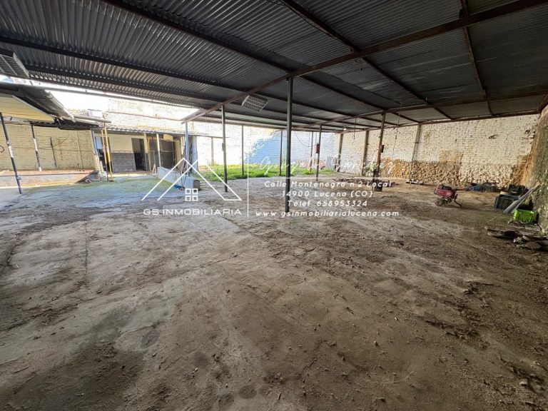 WhatsApp20Image202025-12-0120at2012.11.252028129