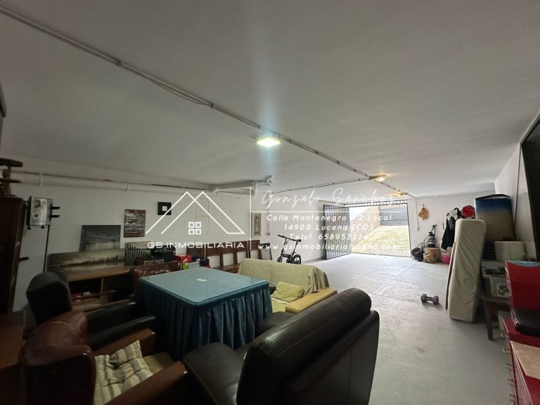 WhatsApp20Image202025-12-0420at2012.27.392028229