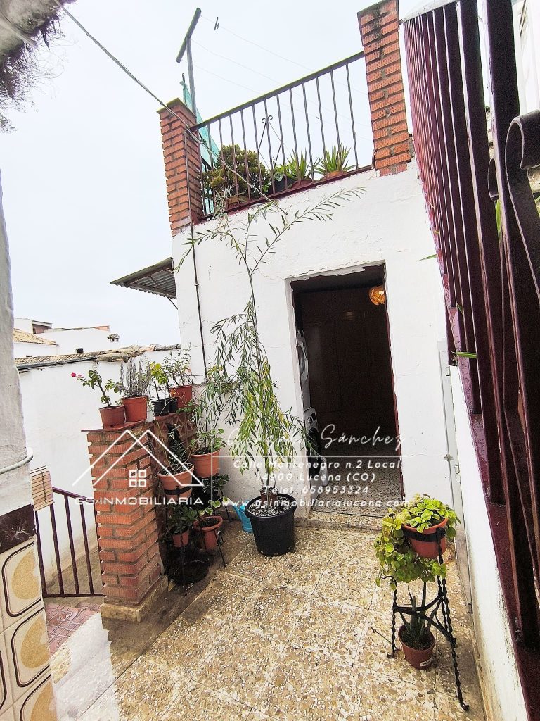 WhatsApp20Image202025-12-1820at2019.14.05