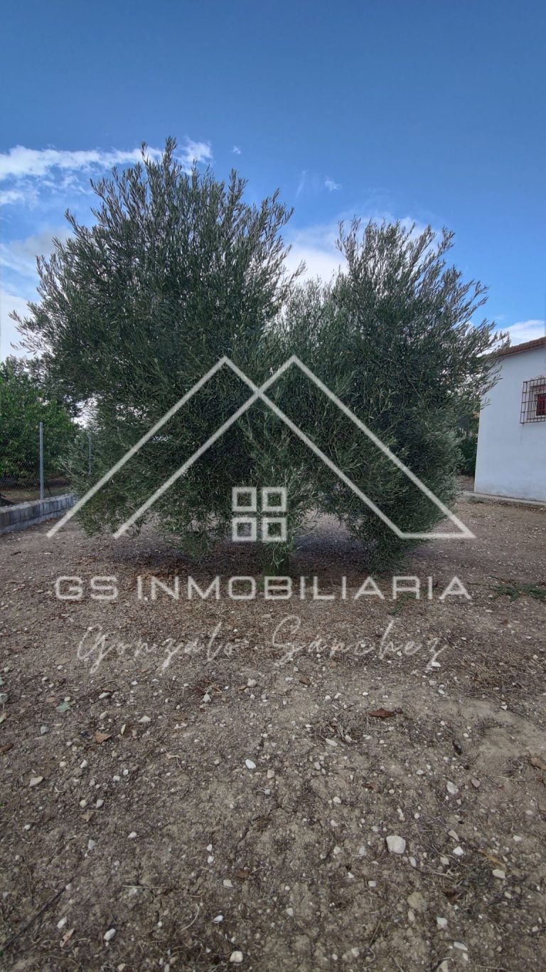 Casa / Chalet en Venta en Lucena Ref: 3495 - Fotografía 8