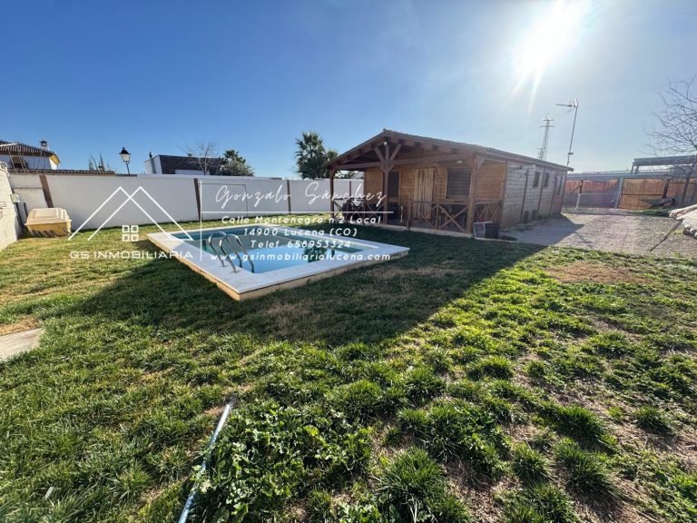 WhatsApp20Image202025-02-0520at2017.15.372028129