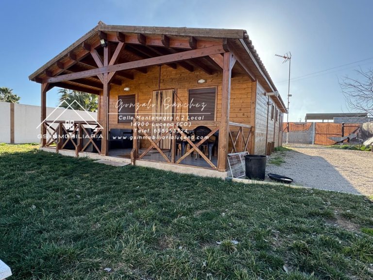 WhatsApp20Image202025-02-0520at2017.15.372028329