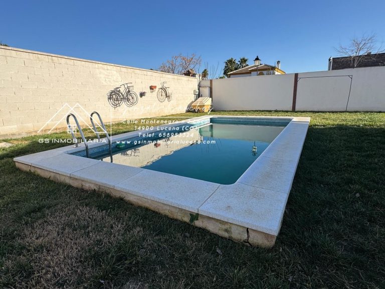 WhatsApp20Image202025-02-0520at2017.15.372028429