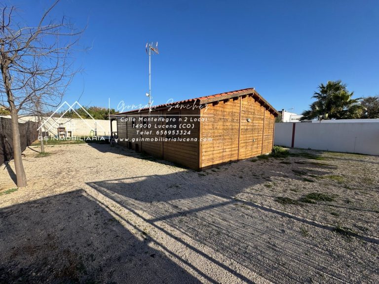 WhatsApp20Image202025-02-0520at2017.15.382028729